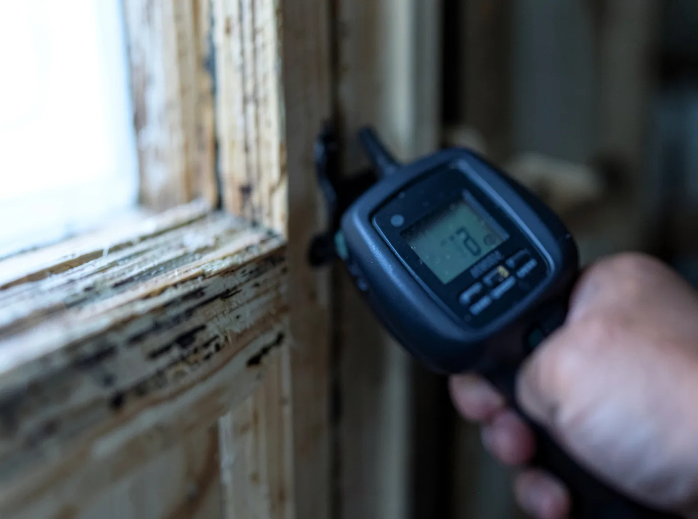 Moisture Inspection And Documentation in Partridge, KY